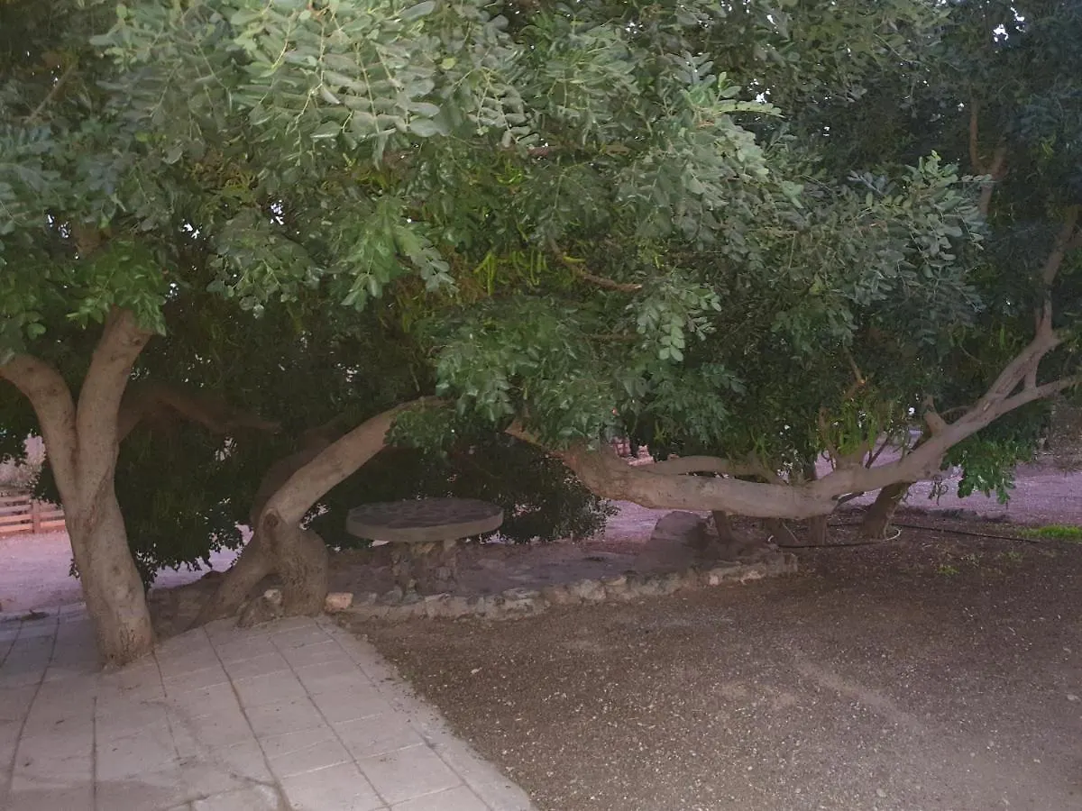 Casa Las Toscas Guest House Ingenio 0*,