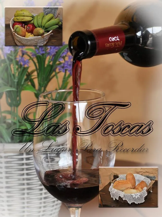 Casa Las Toscas Hostal Ingenio España